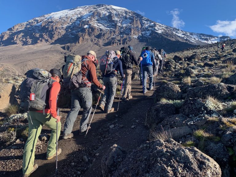 Kilimanjaro Hiking Adventure (4)